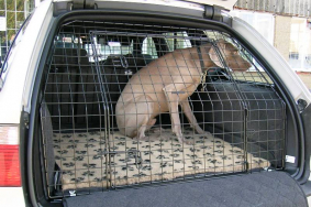 Vauxhall vectra dog guard cheap